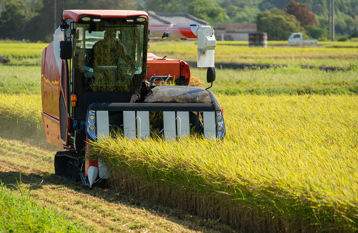 コンバインによる稲刈り作業を行っている農業風景